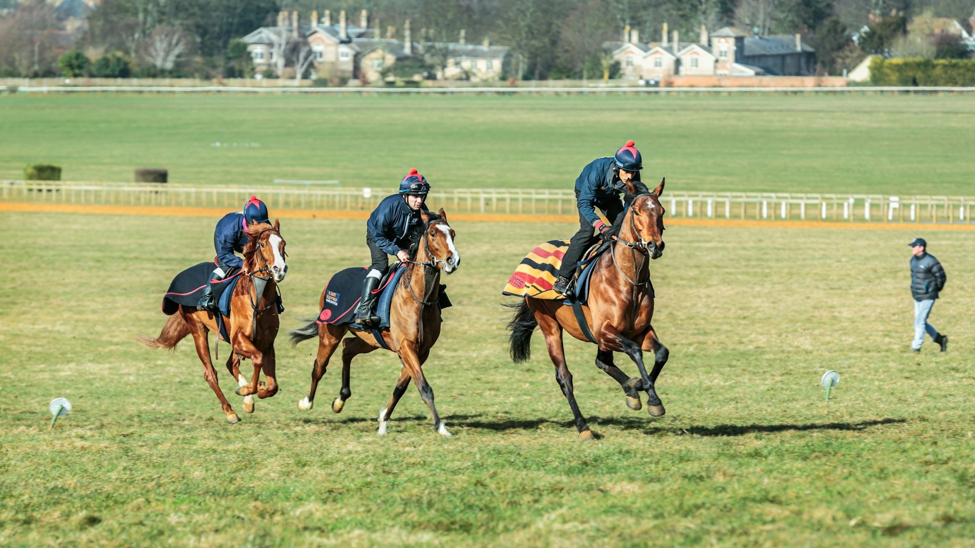 Newmarket race horses